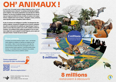 OH’ ANIMAUX ! 